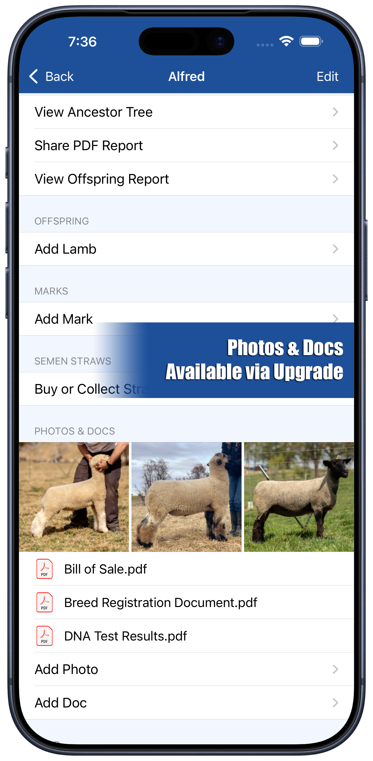 HerdBoss iOS app showing Photos and Docs screen